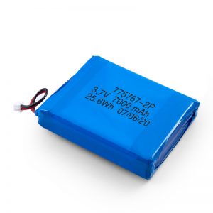 3.7V 2450 2600 3900 4000 4500 4700 5000 6000 9000Mah Bateriya Polymer Lipo